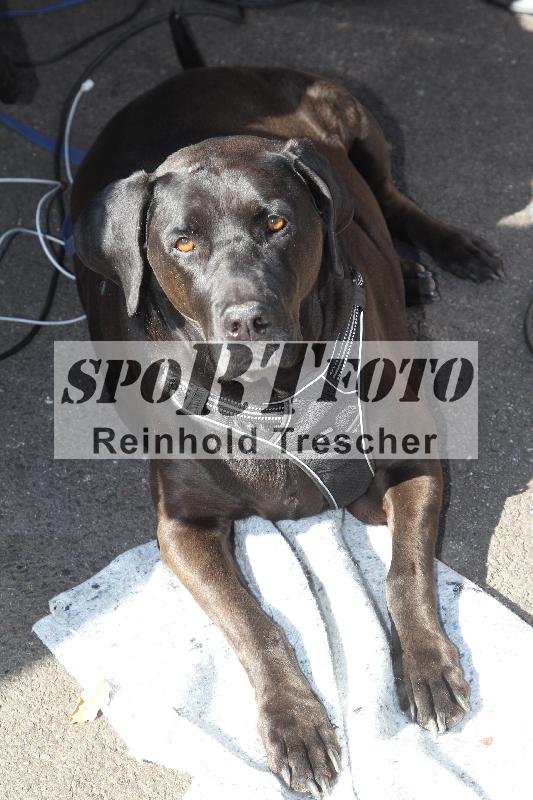 /Archiv-2025/07 19.04.2025 Speer Racing ADR/Impressionen